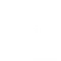 Euro Renting Box